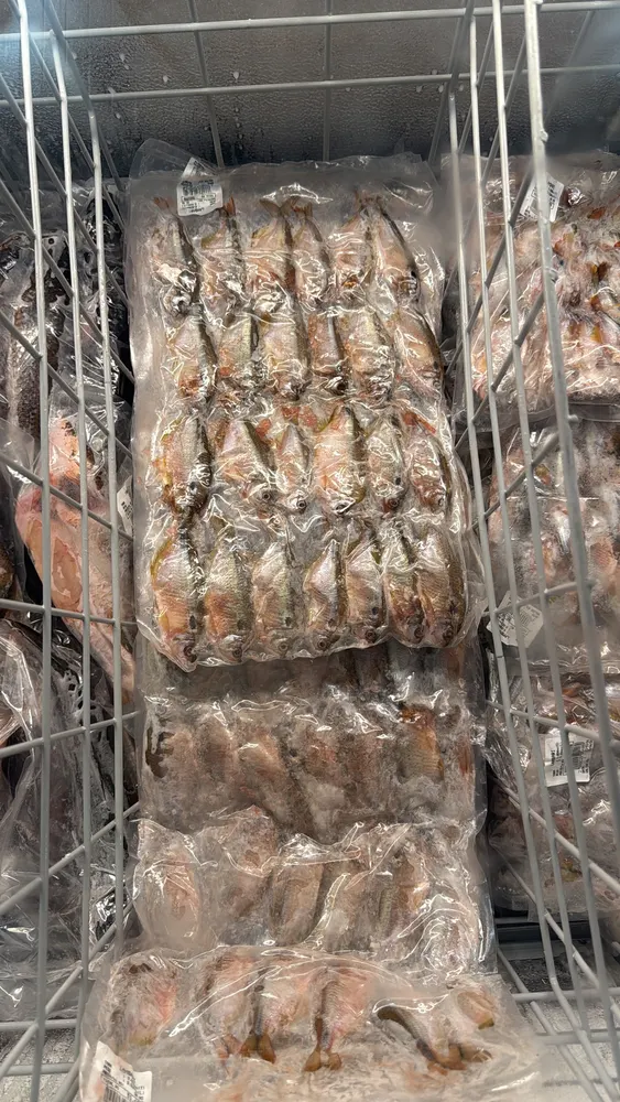 A peixaria — foto 1