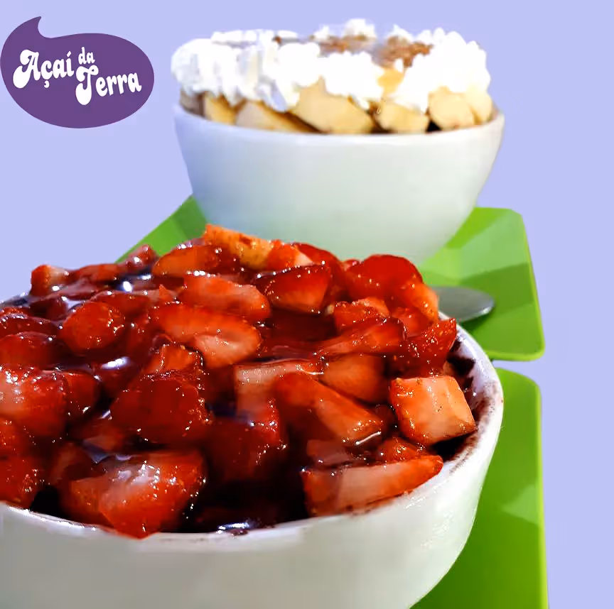 Açai da Terra