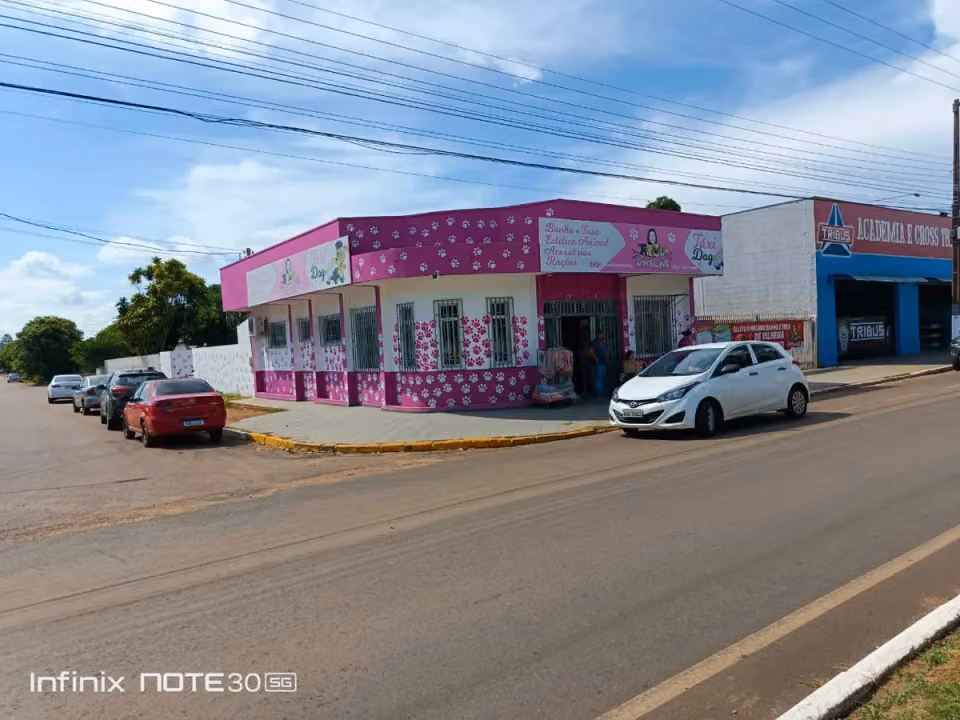 Aninha Pet