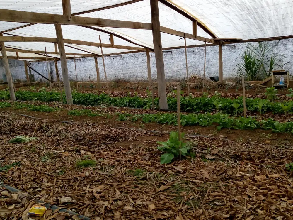 Apae Vilhena — foto 5