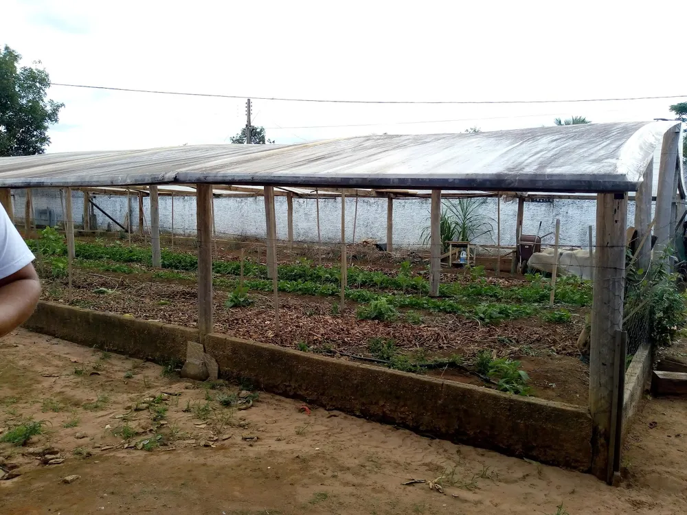 Apae Vilhena — foto 4