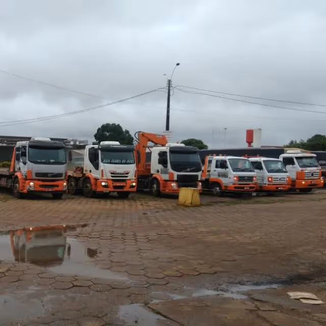 🥇 Auto Socorro Carantulas