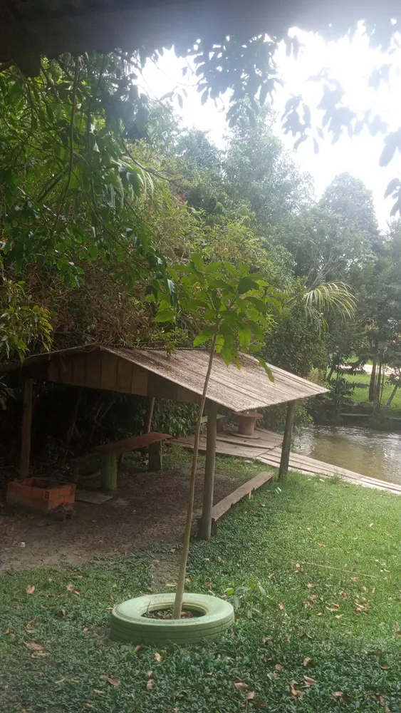 Balneario da ponte vha — foto 5