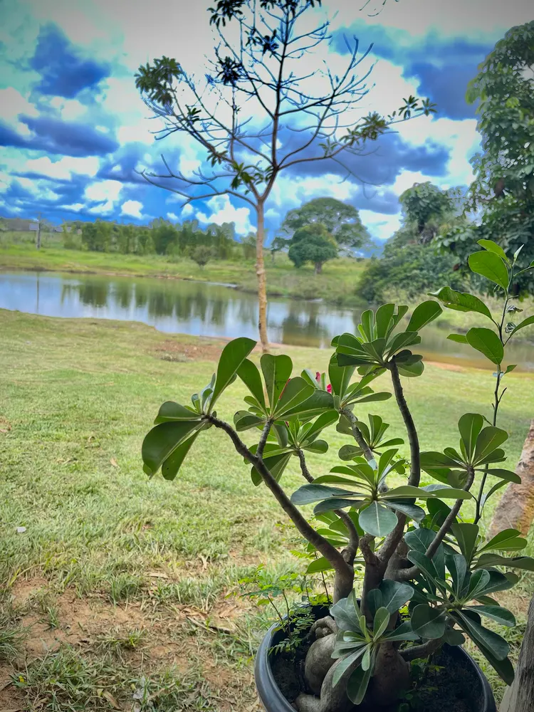 Balneário Piracolina — foto 6