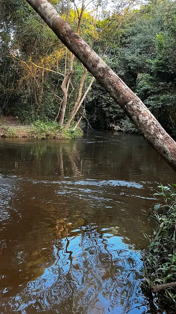 Balneário Ponte Piracolina — foto 3