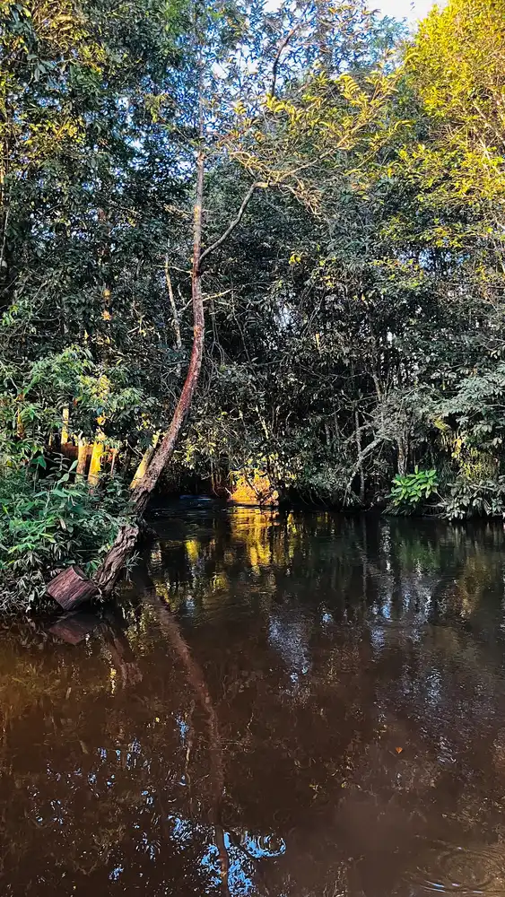 Balneário Ponte Piracolina — foto 4