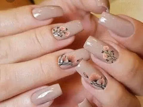 BELEZA GISELEW