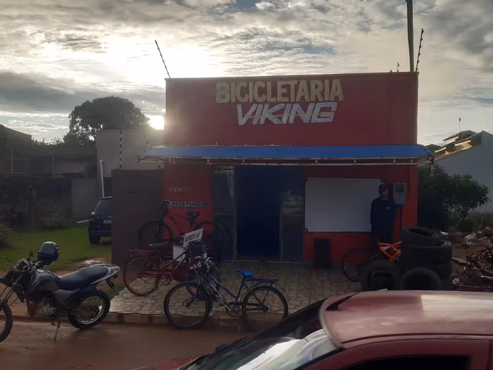 Bicicletaria viking