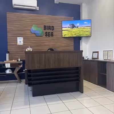 🥇 BIRD SEG - Saúde e Segurança do Trabalho - Vilhena-RO
