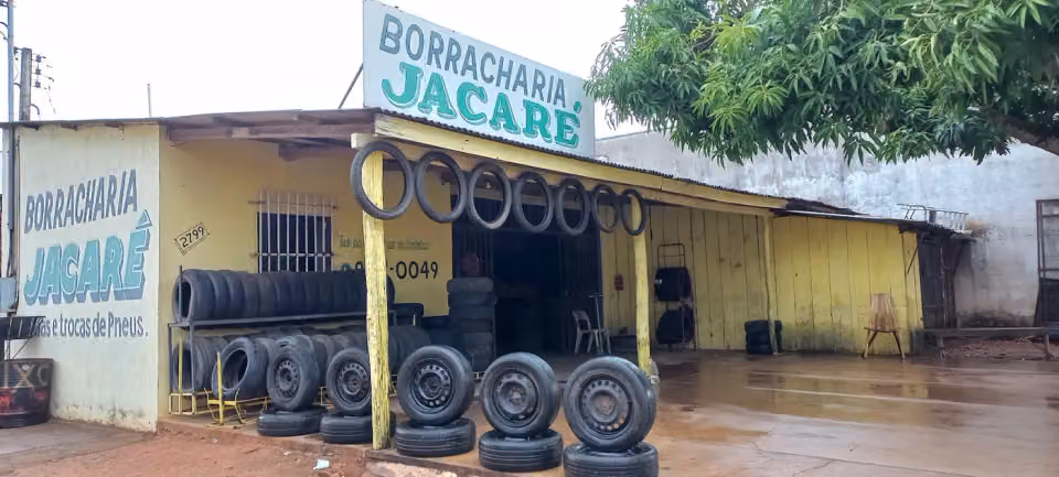 BORRACHARIA JACARE