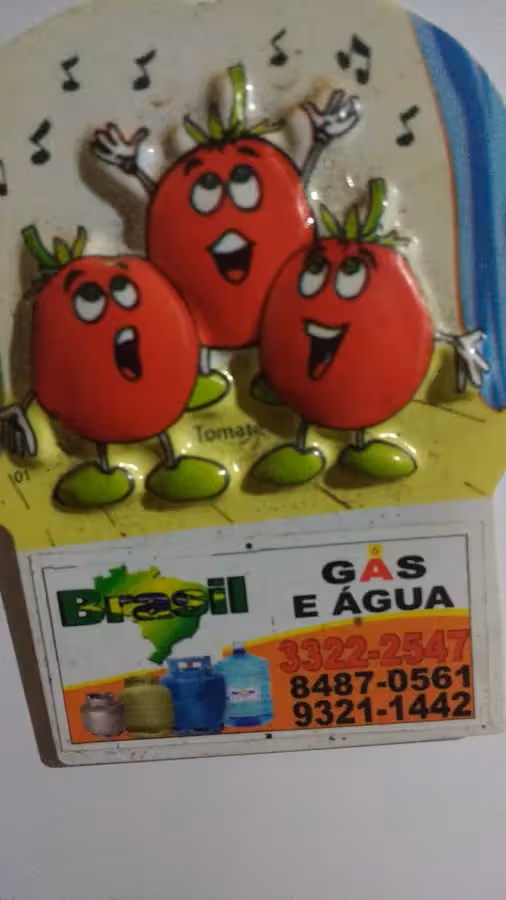 BRASIL GÁS