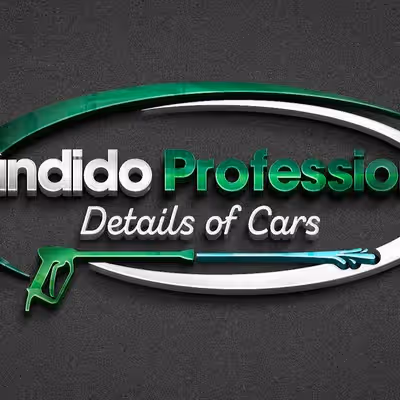 Cândido Professional Details of car