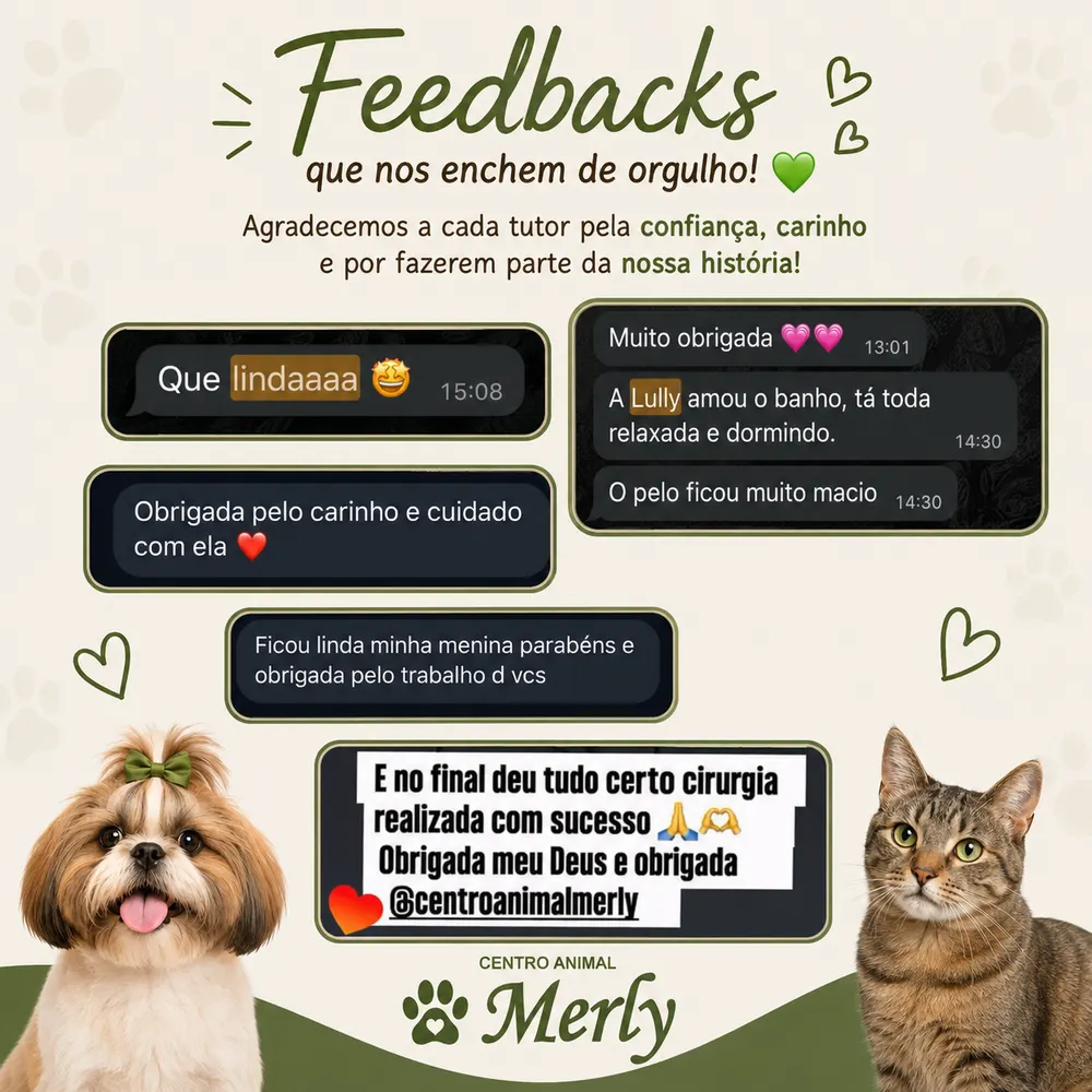 Centro Animal Merly — foto 5
