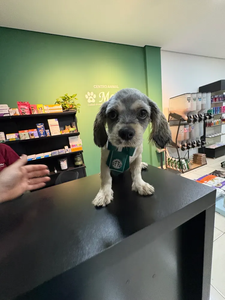 Centro Animal Merly — foto 6