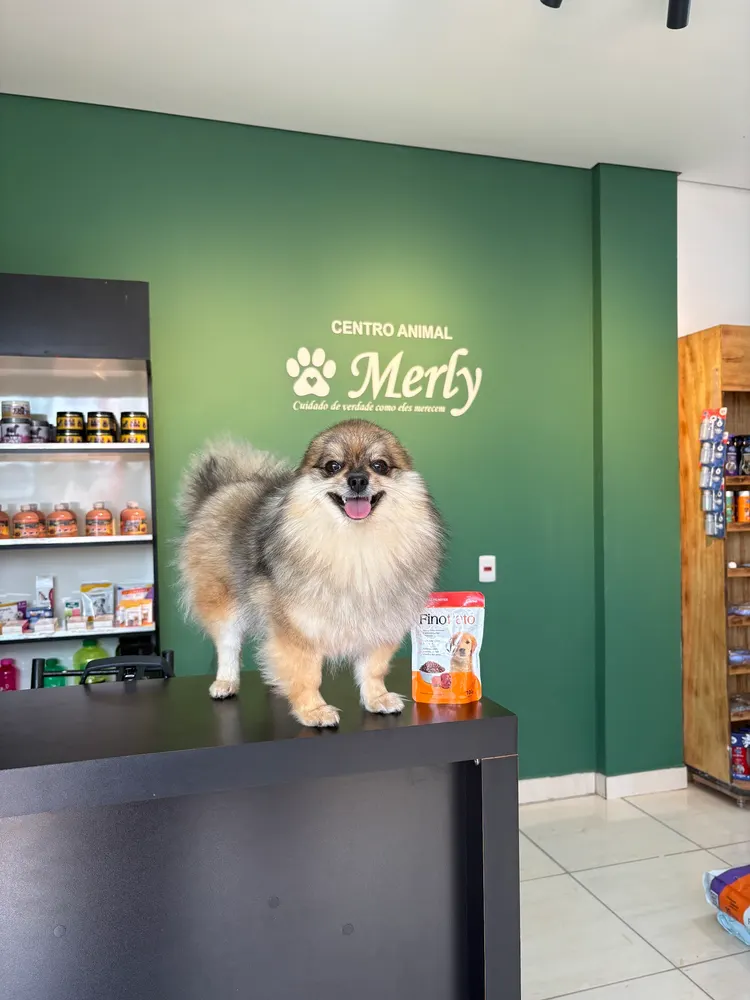 Centro Animal Merly — foto 3
