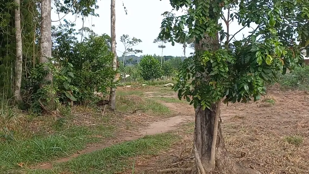 Chácara Aquidauana ( Iradir ) — foto 1