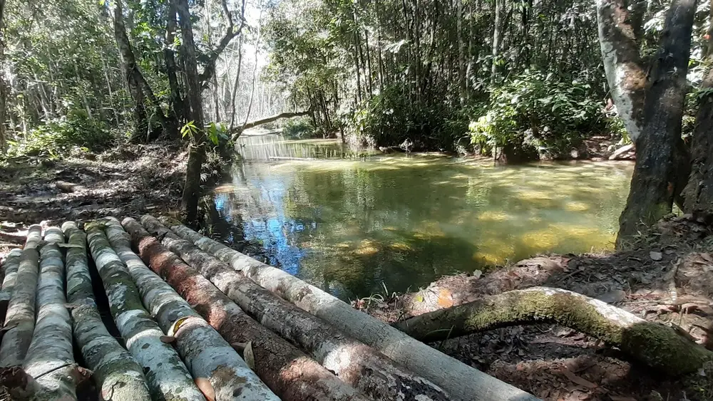 Chácara Recanto da Mata — foto 1