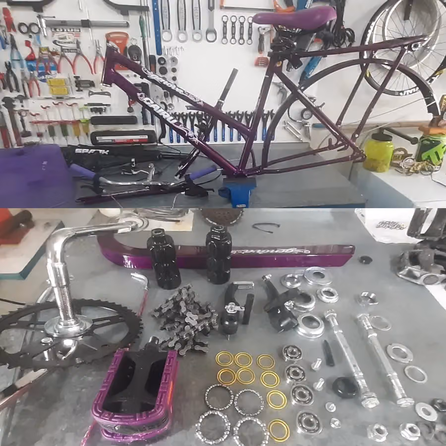 CICLO G3