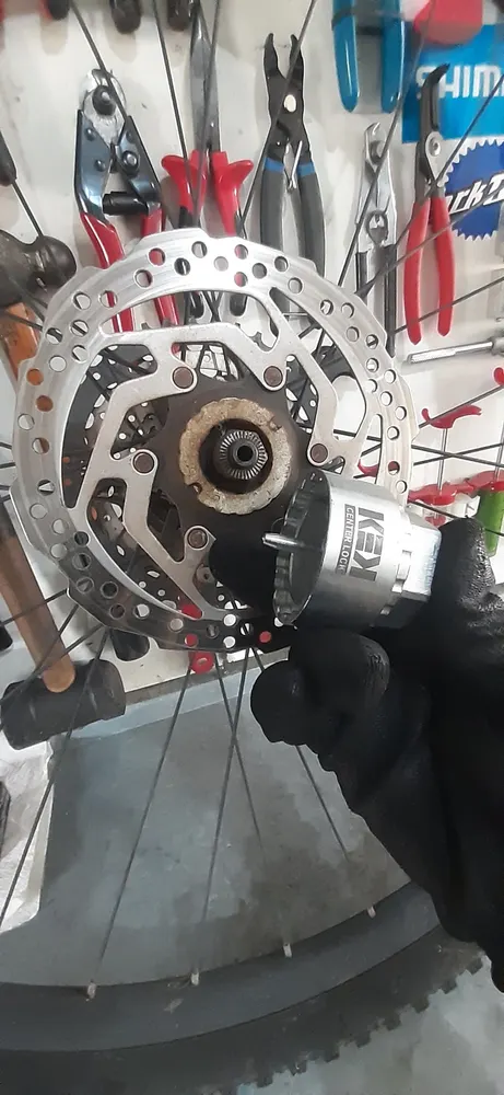 CICLO G3 — foto 2