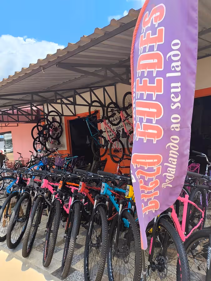 Ciclo guedes