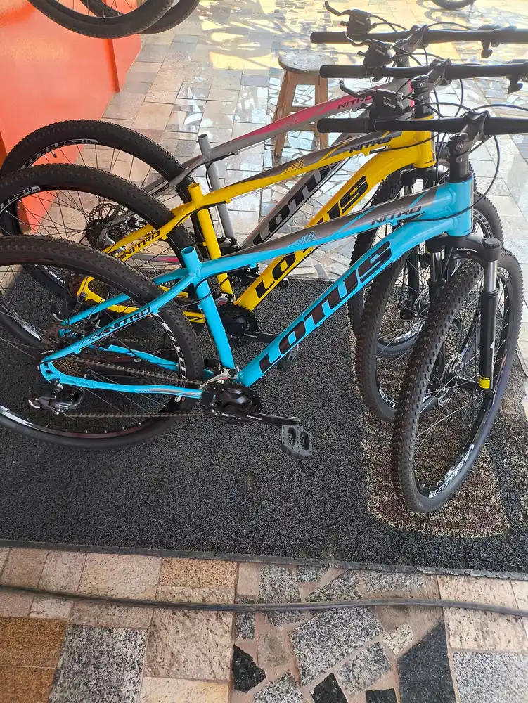 Ciclo guedes — foto 2