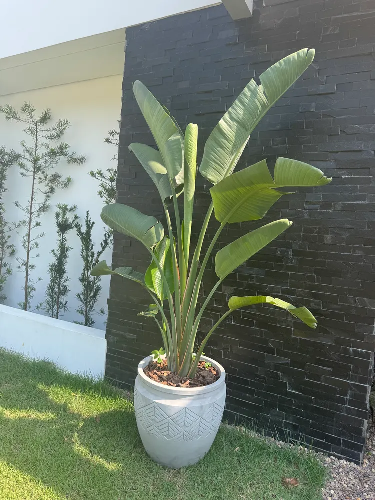 Condomínio Eco Resort Campos Elísios — foto 4