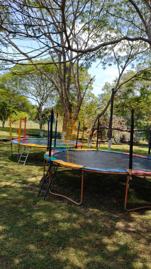 Diversão Kids