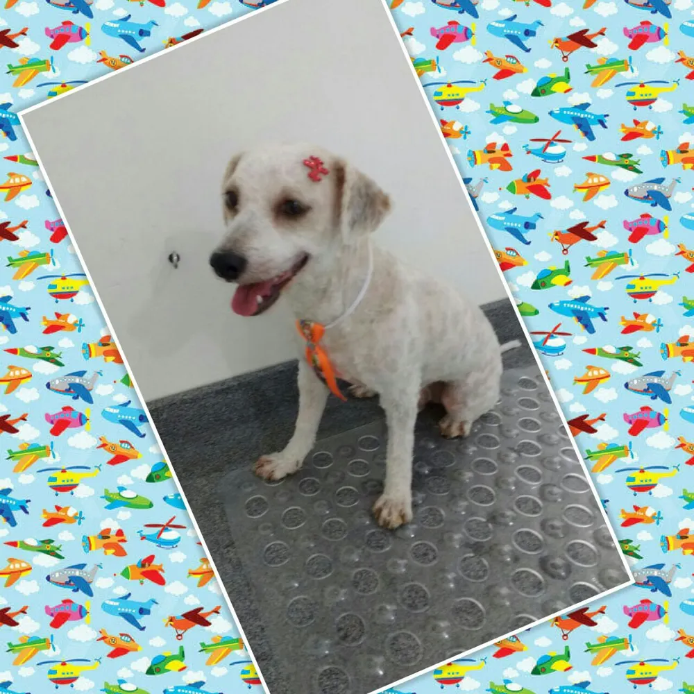 DUCHA PET — foto 3