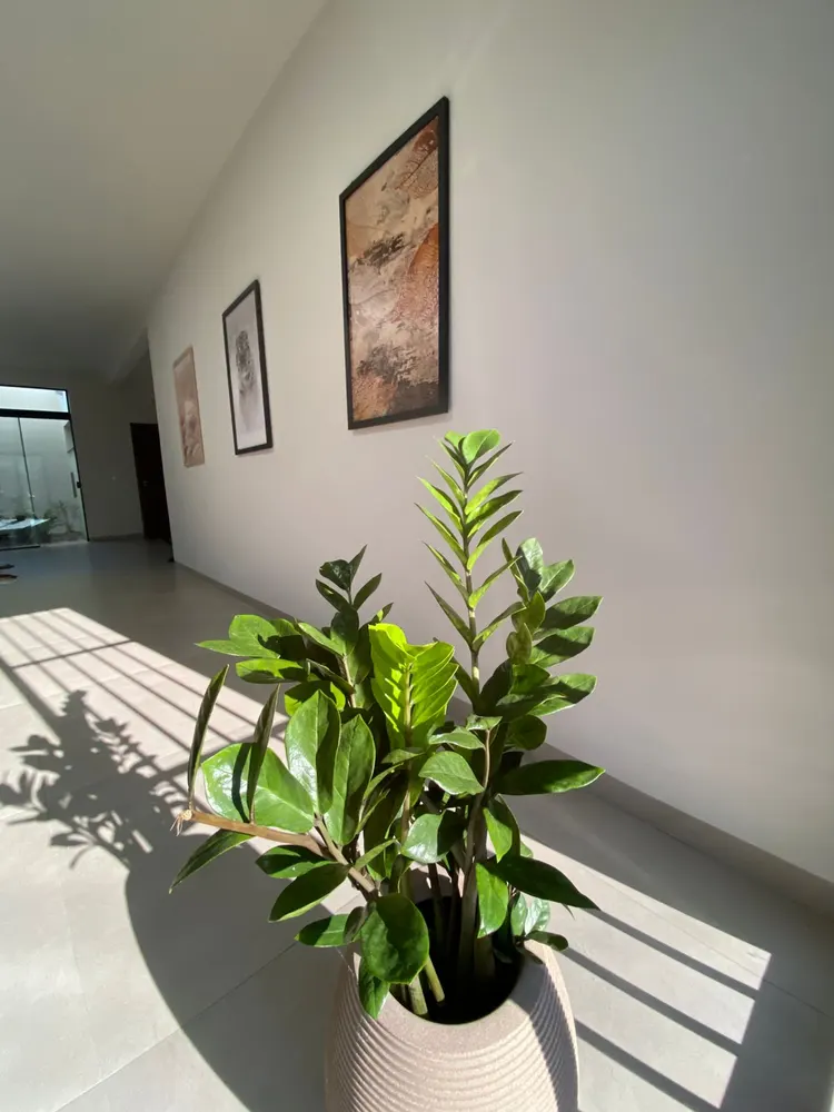 ELEVARE Contabilidade e Perícias — foto 5