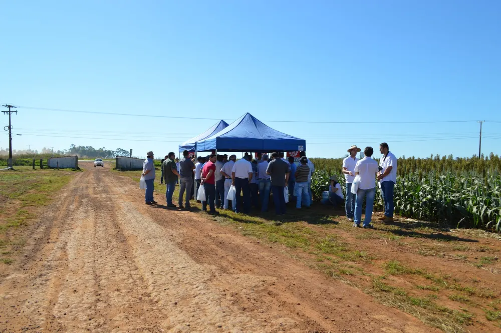 Embrapa - Campo Experimental de Vilhena — foto 1