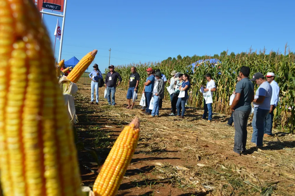 Embrapa - Campo Experimental de Vilhena — foto 2