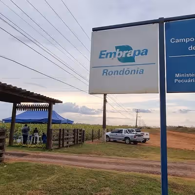Embrapa - Campo Experimental de Vilhena