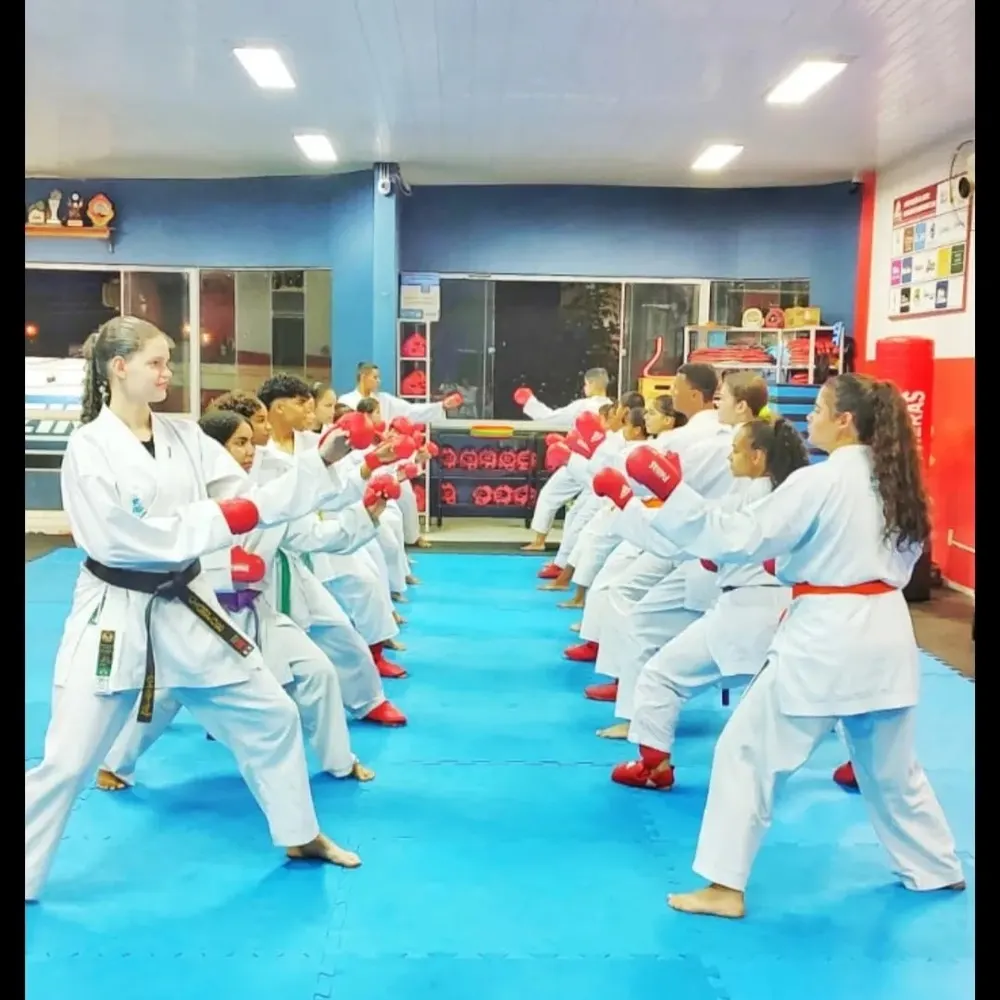 Escola de Karatê Champions club — foto 5