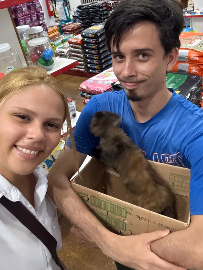 Espaço Animal Veterinária