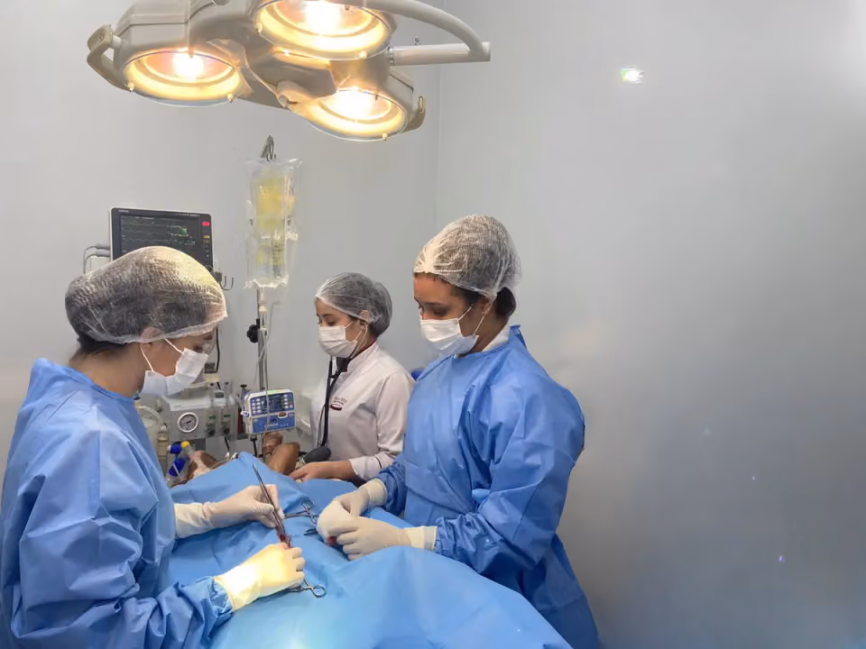 Espaço Animal Veterinária - Atendimento 24 Horas