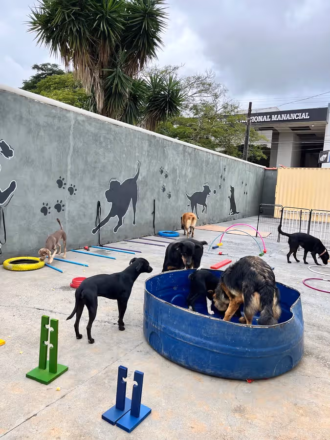 FIRE Creche Canina & Hotel Pet