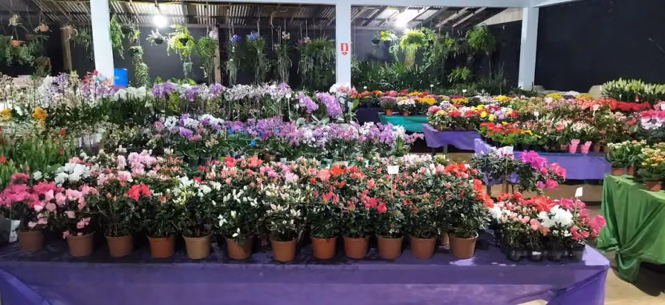 Garden Center Guimarães - Viveiro e Floricultura Centro