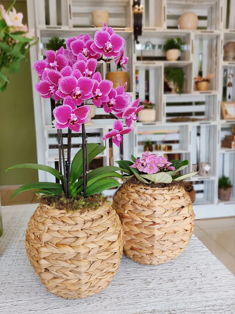 Gardênia - Flores, Decoração & Design — foto 2