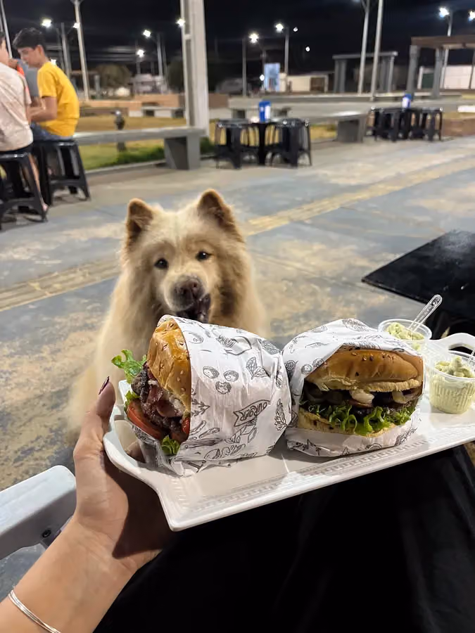 Hamburgueria Don Bueno