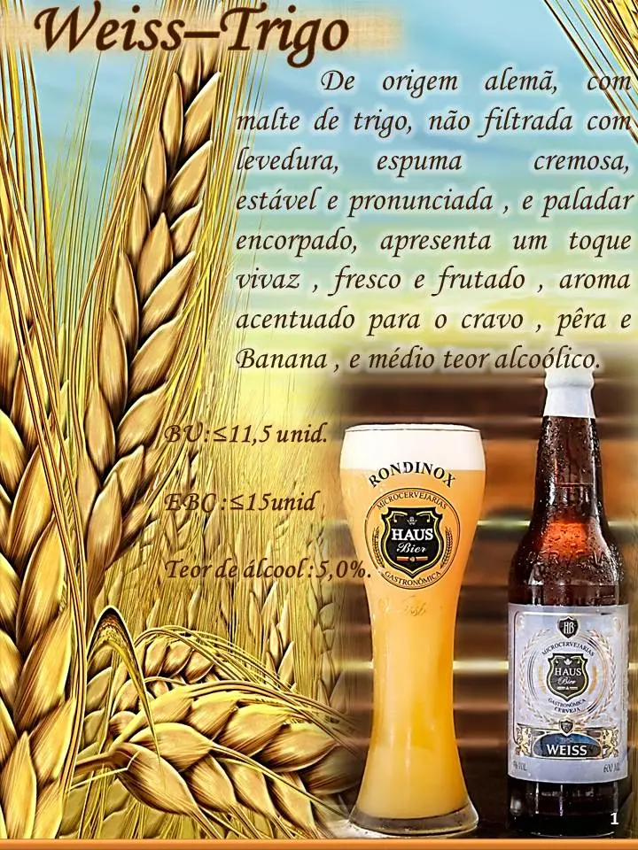 Haus Bier franqueadora — foto 4
