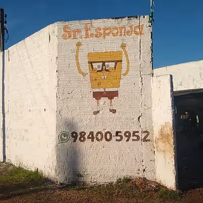 Lava jato. Sr°esponja