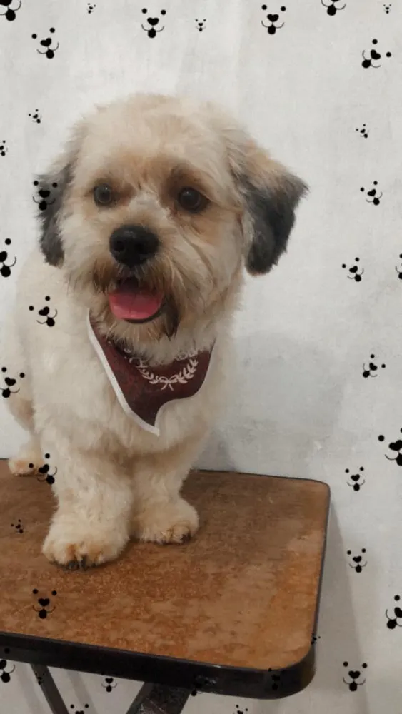 LEAL VETERINÁRIA — foto 1