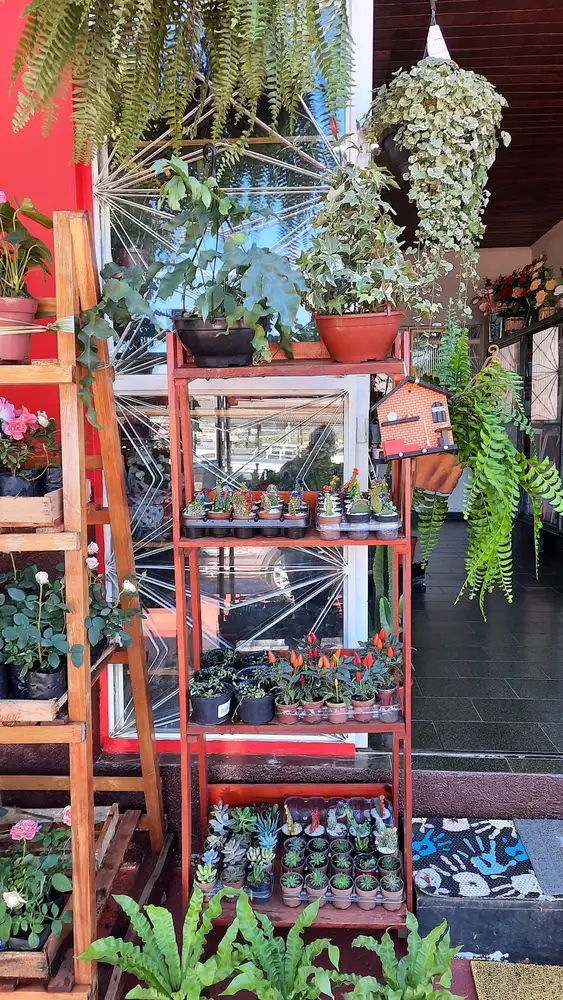 Loucuras De Amor Flores e Presentes — foto 6