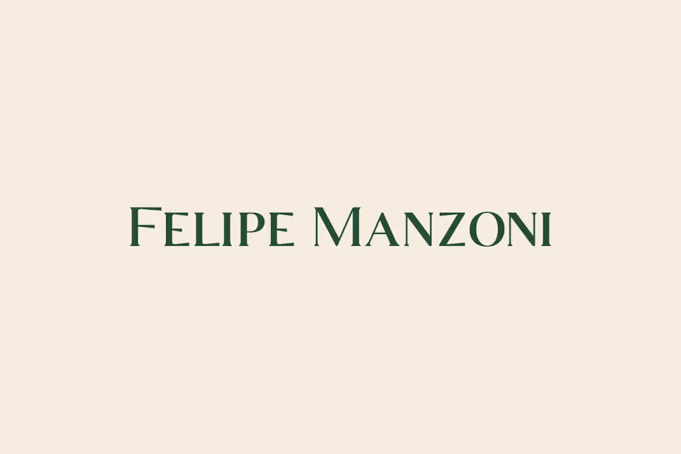 Luís Felipe Ferreira Manzoni - Sociedade Individual de Advocacia