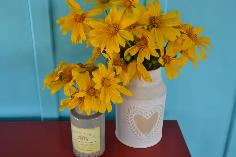 Miusa Art Decor — foto 4