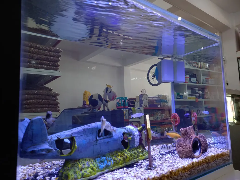 Mundo AquaPet — foto 3