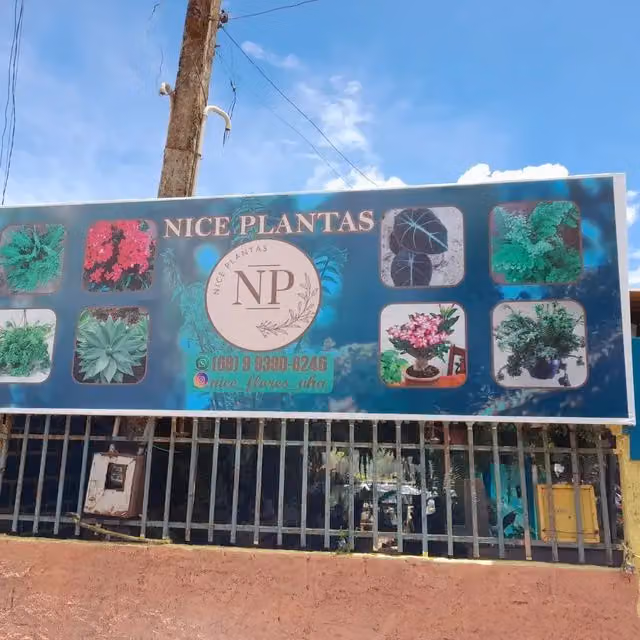 Nice Plantas