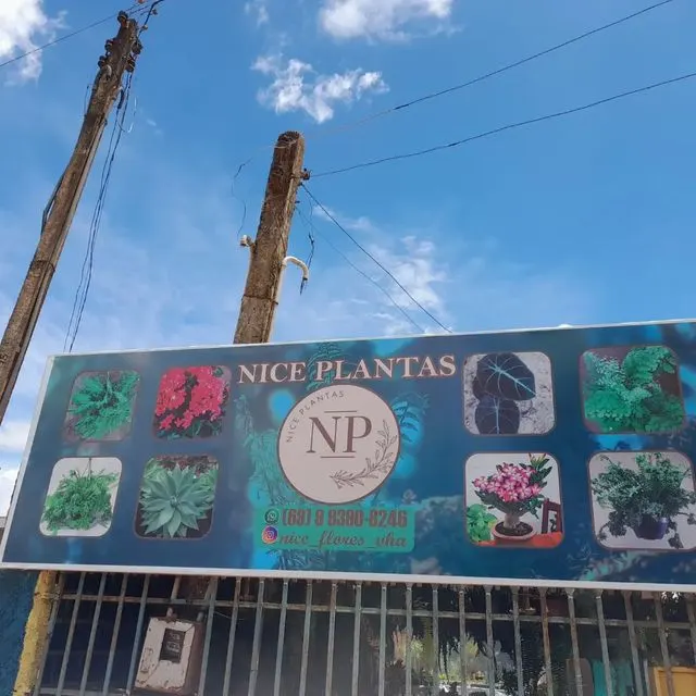 Nice Plantas — foto 1