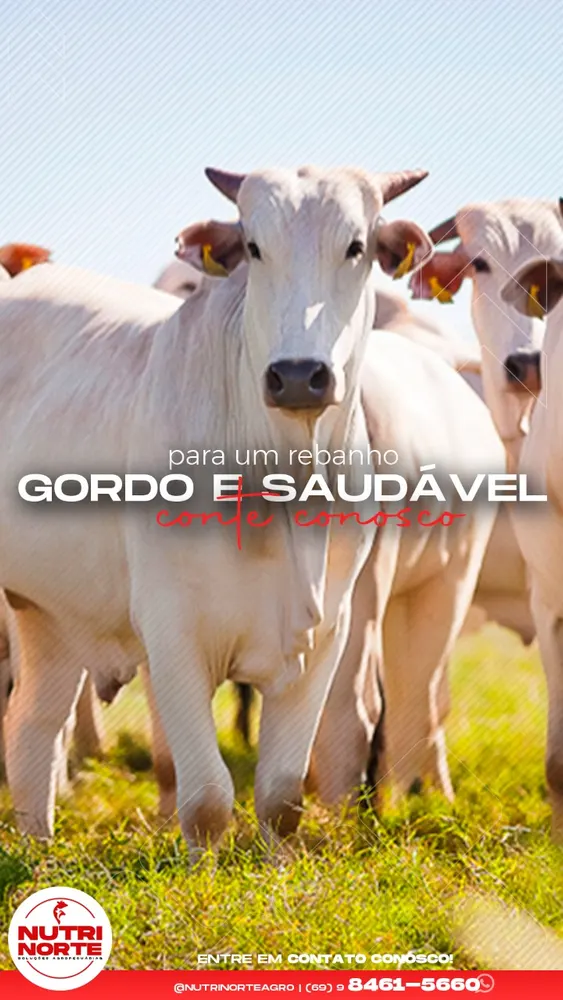Nutri Norte Nutrição Animal — foto 4