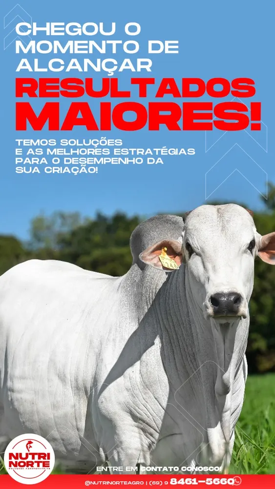 Nutri Norte Nutrição Animal — foto 5